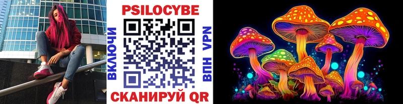 Галлюциногенные грибы Psilocybine cubensis  наркошоп  блэк спрут зеркало  Дятьково 