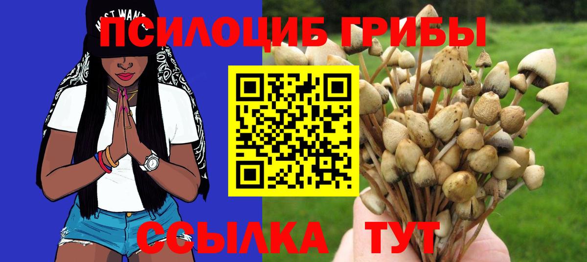 Галлюциногенные грибы Psilocybe  Вход с VPN  Дятьково 